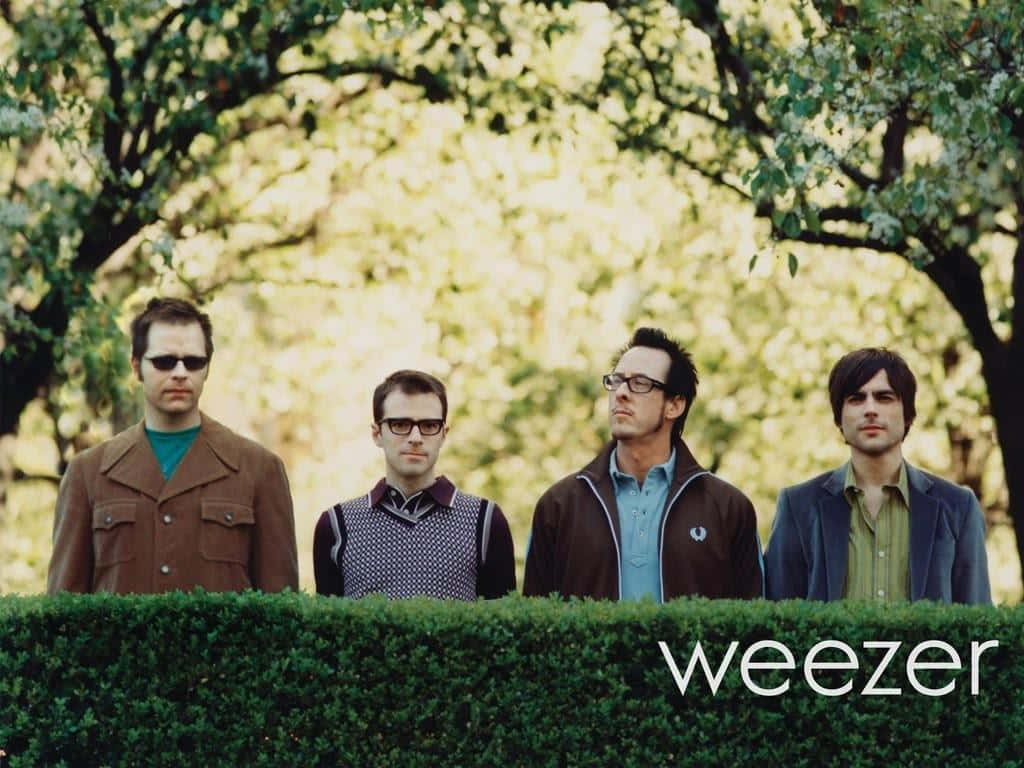 Weezer, green hedge, leafy trees, SD Desktop Wallpaper