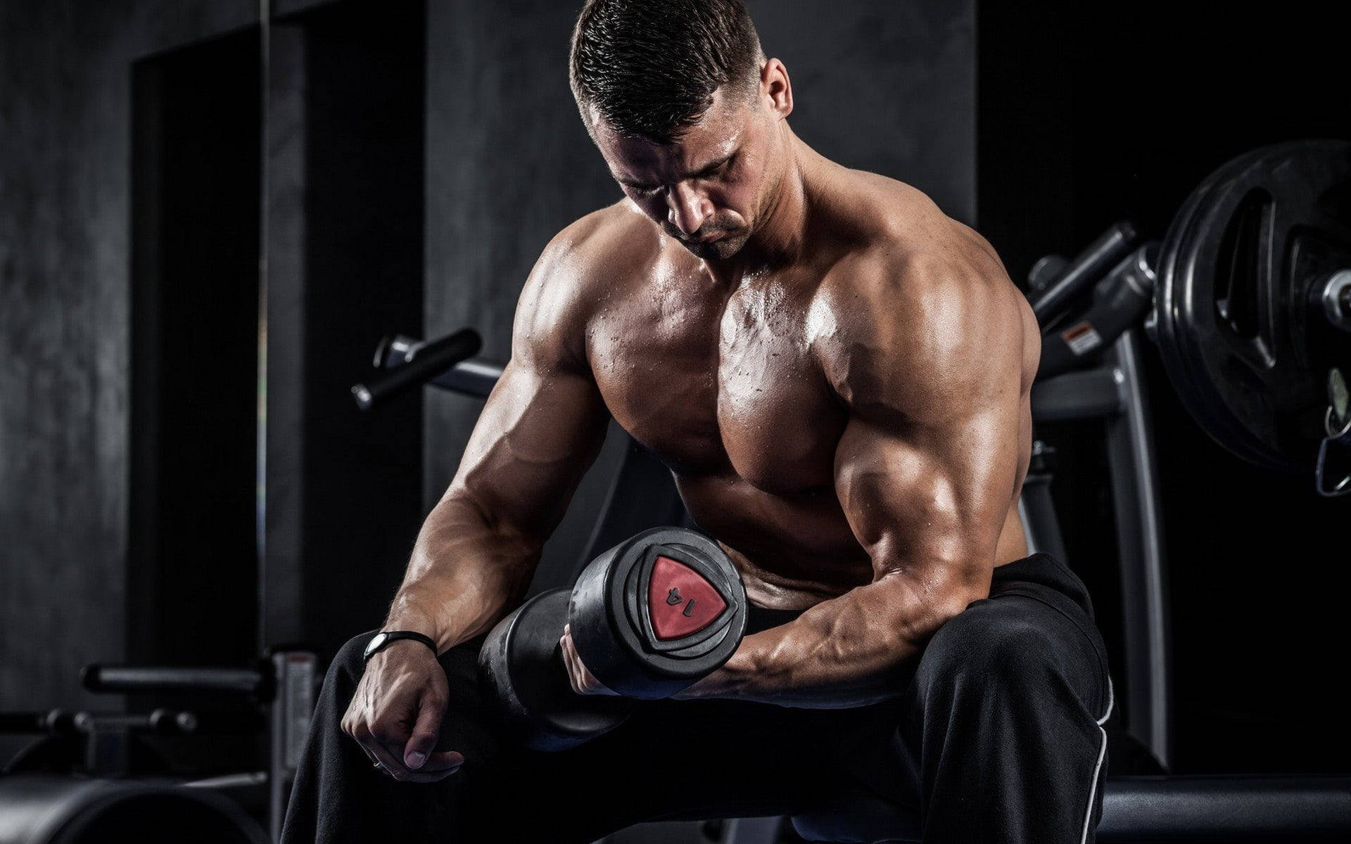 muscle man, dumbbell, dimly lit gym, Full HD Desktop Wallpaper