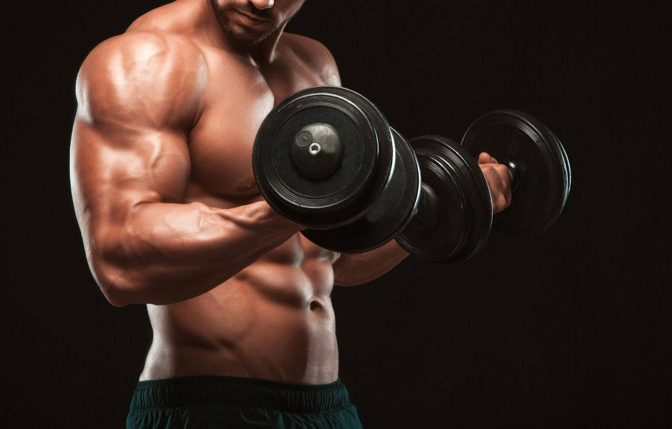 muscular man, biceps, black dumbbell, HD Desktop Wallpaper