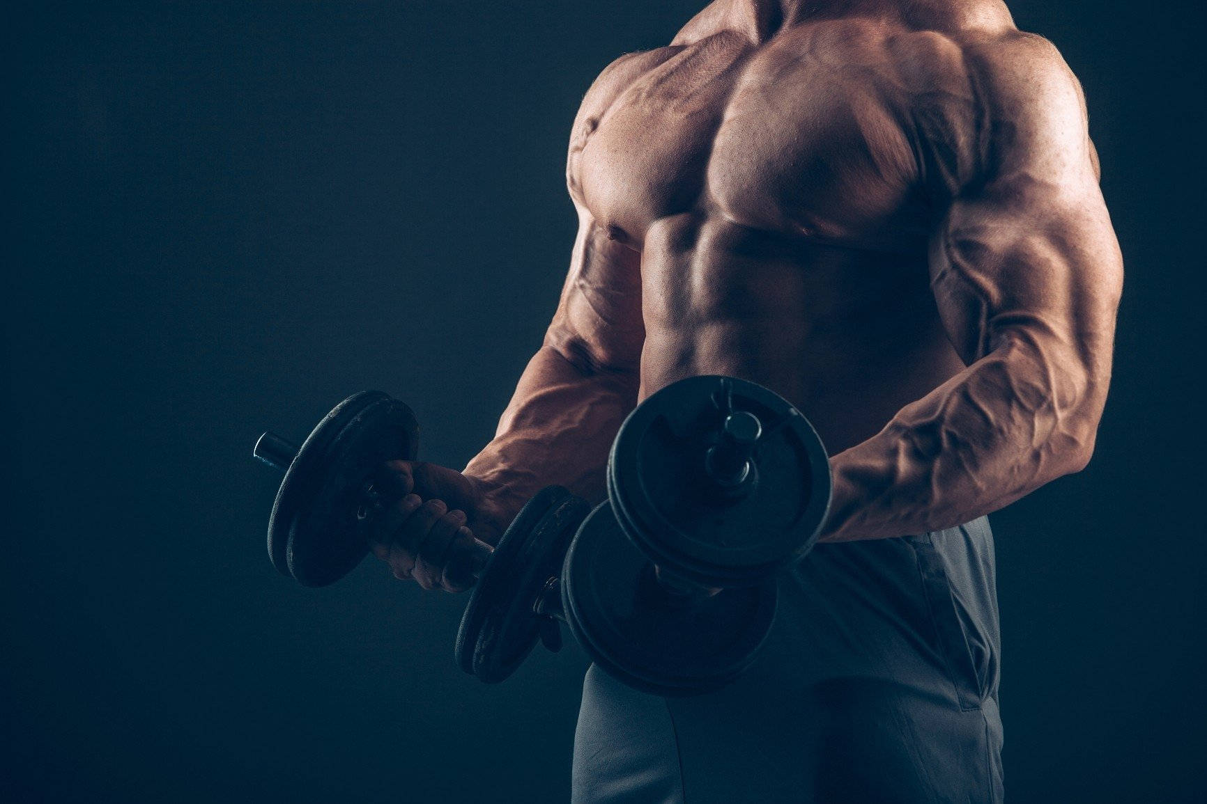 bodybuilder, dumbbells, dark blue studio backdrop, HD Desktop Wallpaper