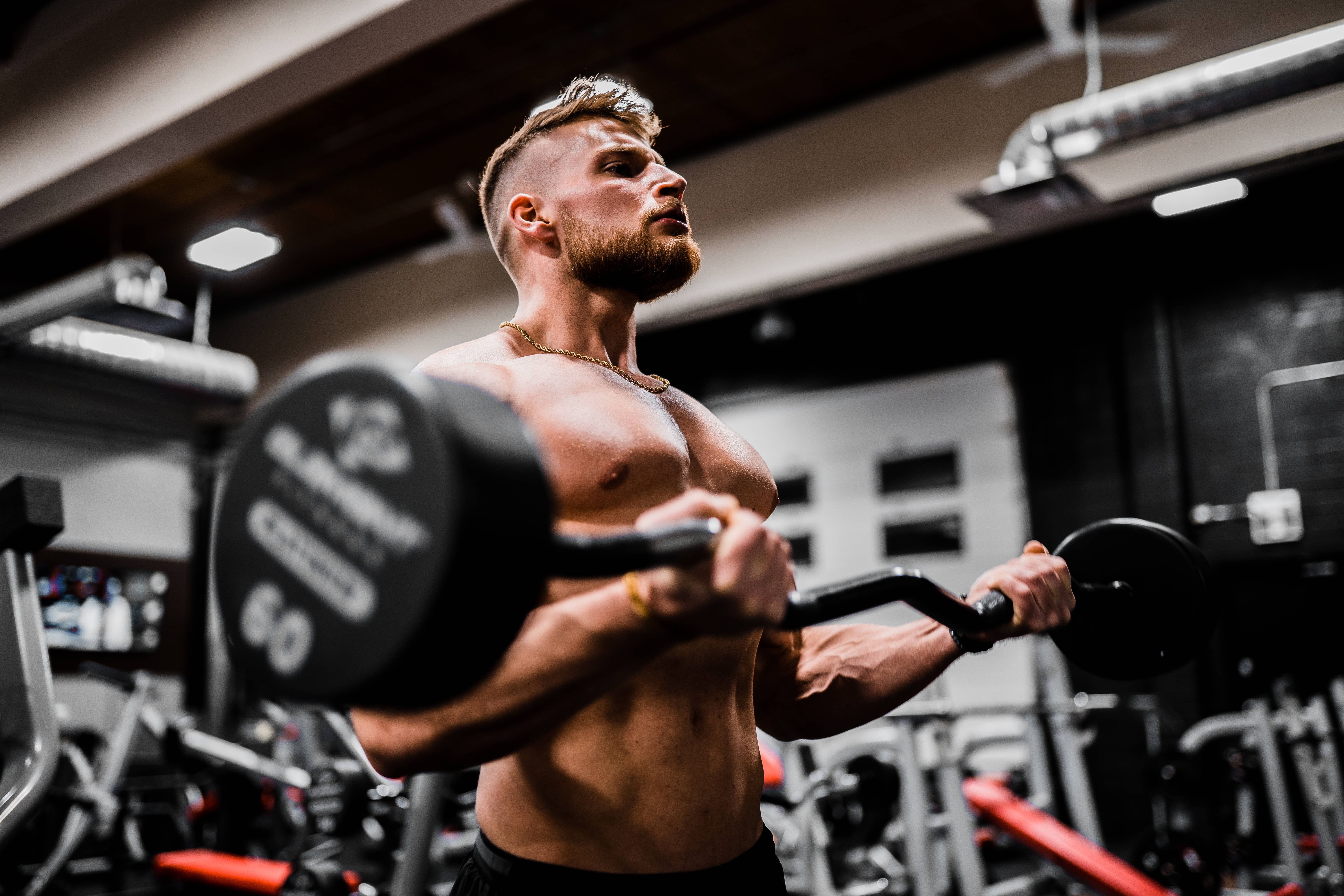 barbell, modern gym, industrial lighting, 5K Desktop Wallpaper