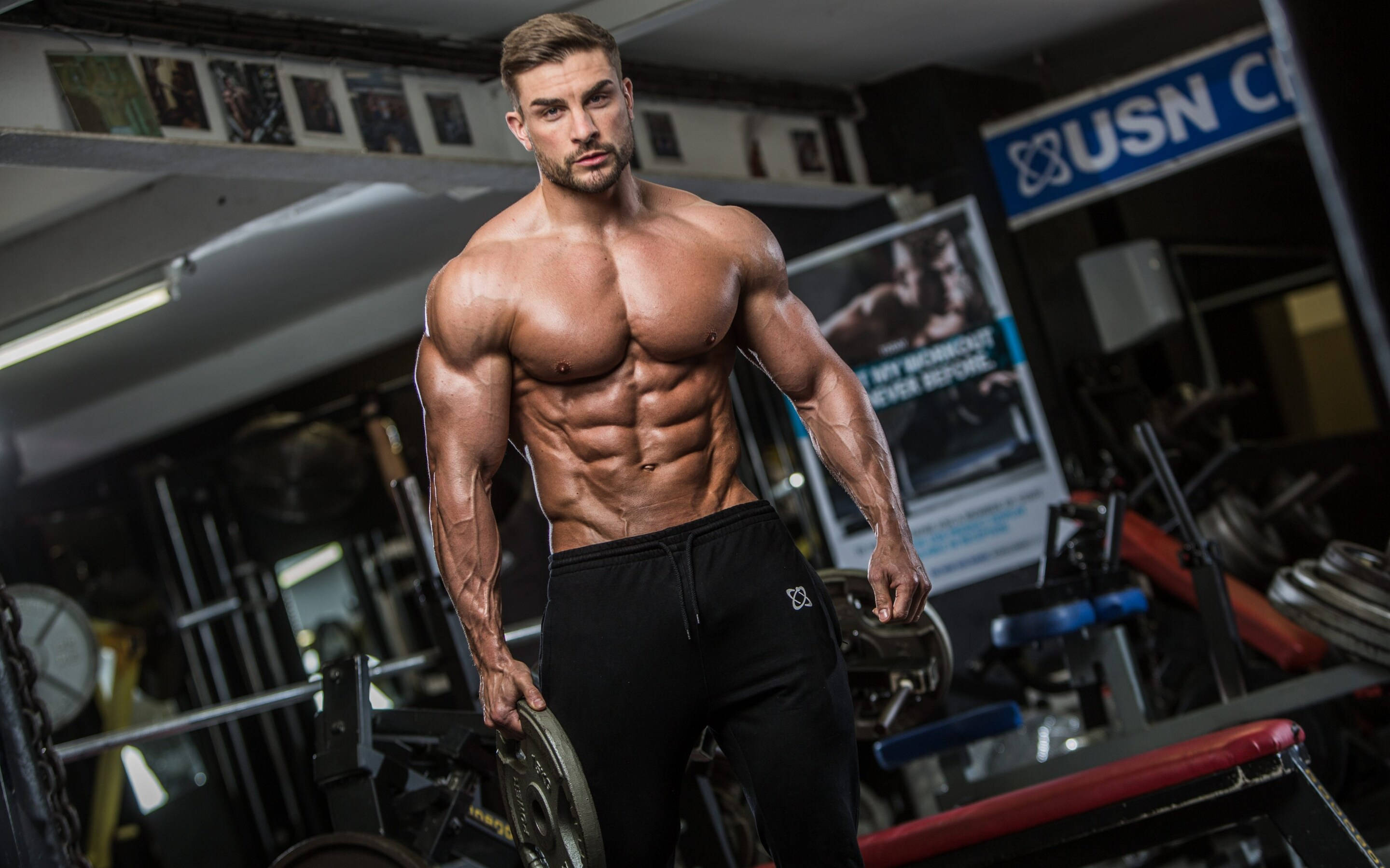 bodybuilder, gym, weight plate, 2K Desktop Wallpaper