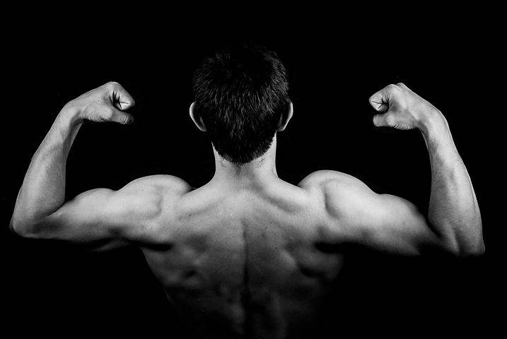 bodybuilders, arms, stark black background, SD Desktop Wallpaper