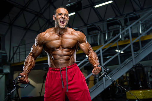 six pack, muscular man, gym, SD Desktop Wallpaper