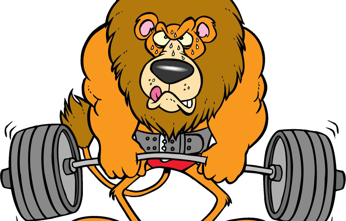 cartoon lion, barbell, gym, HD Desktop Wallpaper