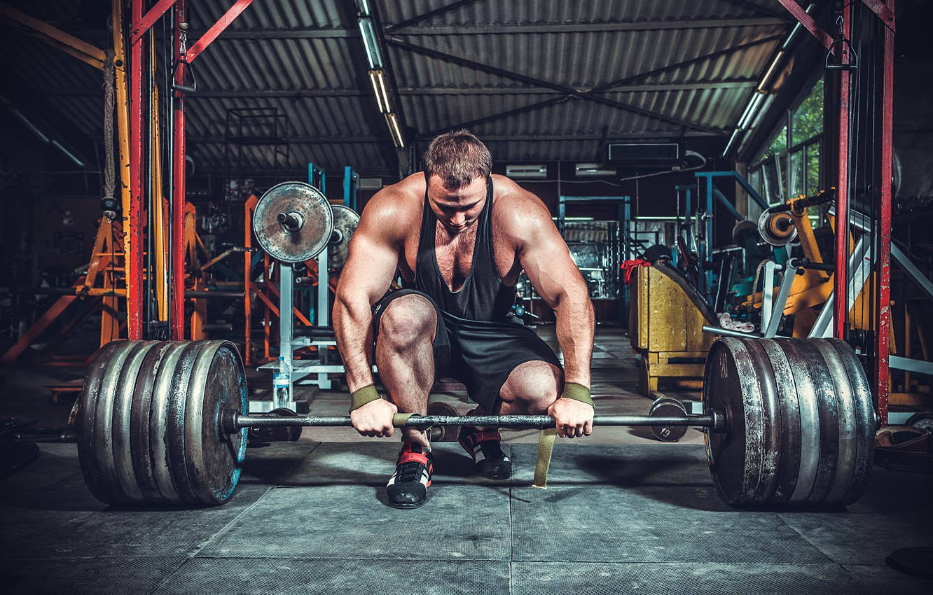 muscular man, gym, heavy barbell, HD Desktop Wallpaper