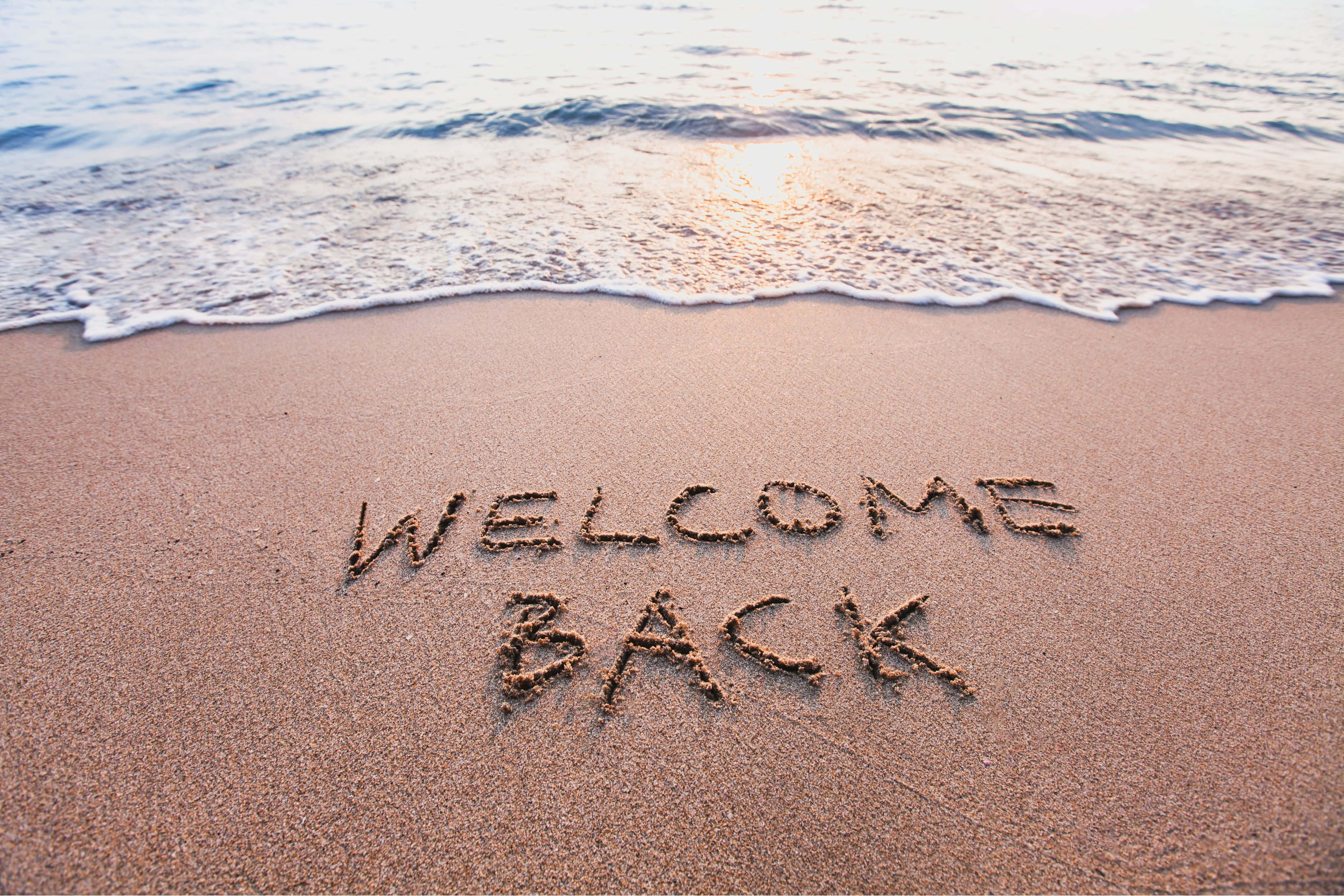 welcome back, wet sand, shoreline, 4K Desktop Wallpaper