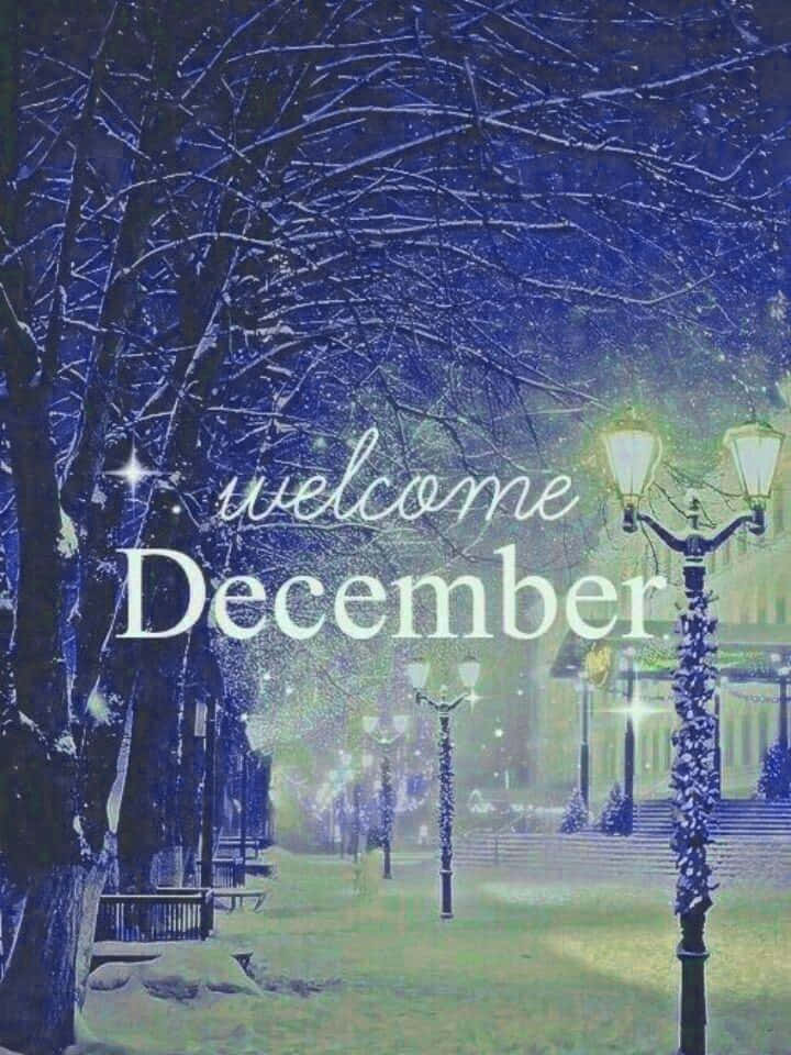 Welcome December, winter park pathway, snow, SD Phone Wallpaper