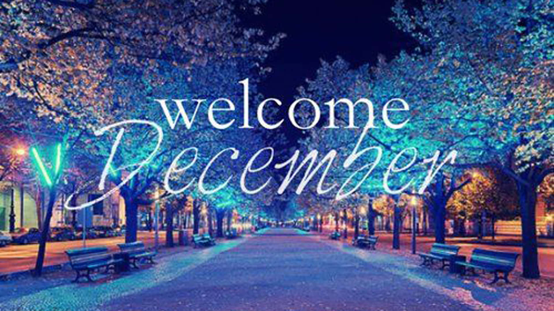 Welcome December, blue and orange lights, tree-lined urban avenue, Full HD Desktop Wallpaper