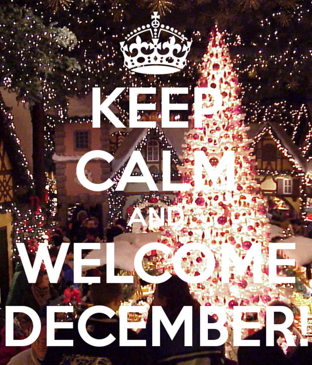Welcome December, Christmas tree, twinkling lights, SD Phone Wallpaper