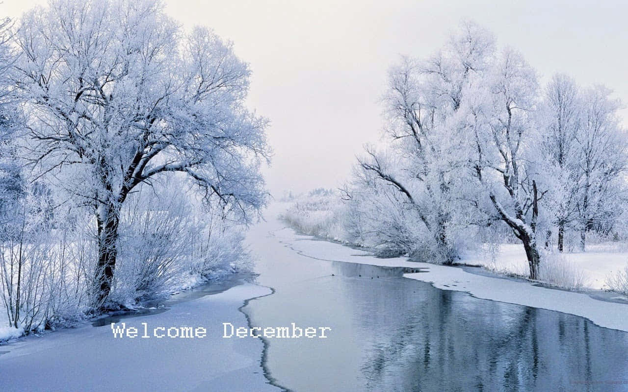 Welcome December, winter lake, snow-covered trees, HD Desktop Wallpaper