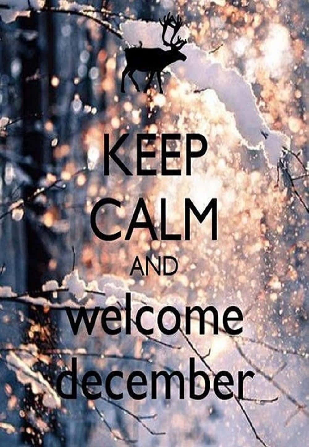 Welcome December, snowy winter scene, deer silhouette, HD Phone Wallpaper