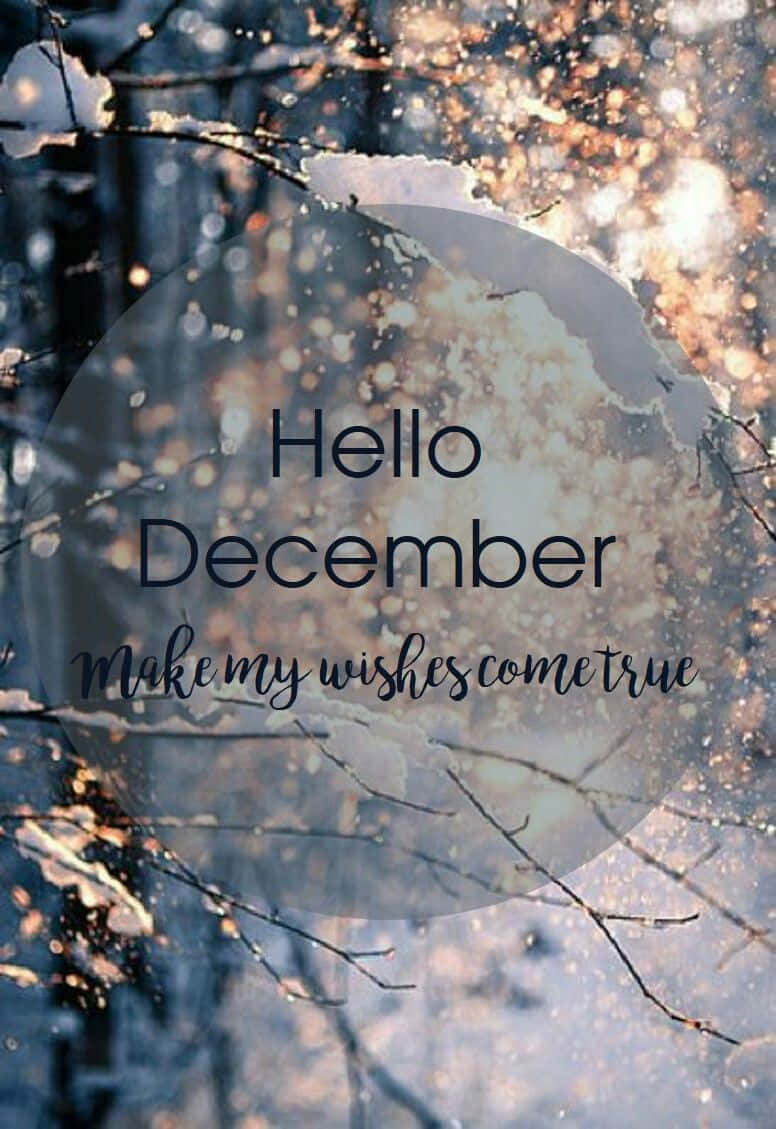Welcome December, snow-dusted branches, soft blue winter sky, SD Phone Wallpaper
