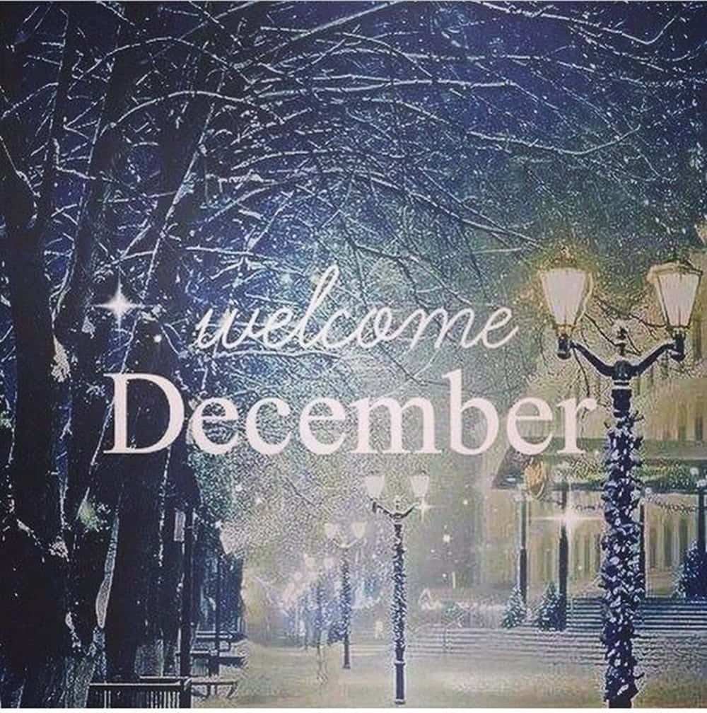 Welcome December, snow, bare trees, SD Phone Wallpaper