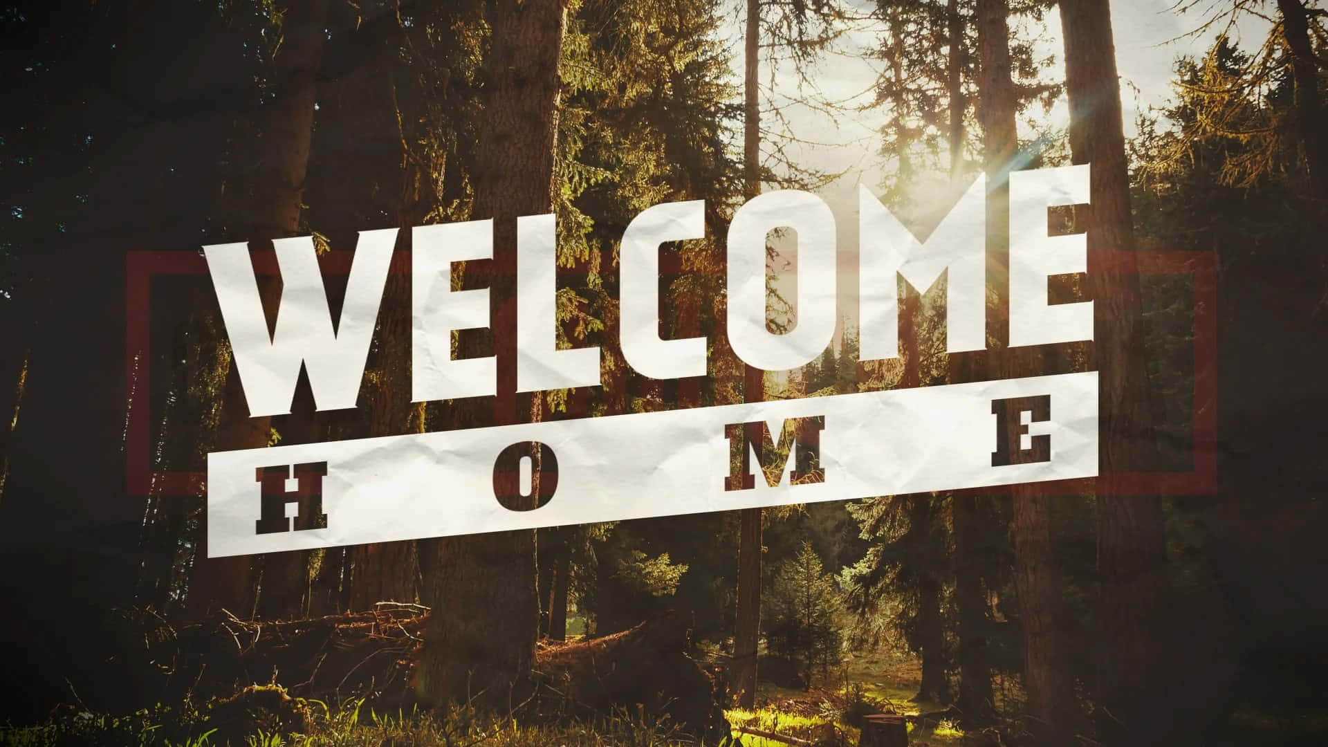 Welcome Home Forest Banner, sunlit forest, tall pine trees, Full HD Desktop Wallpaper