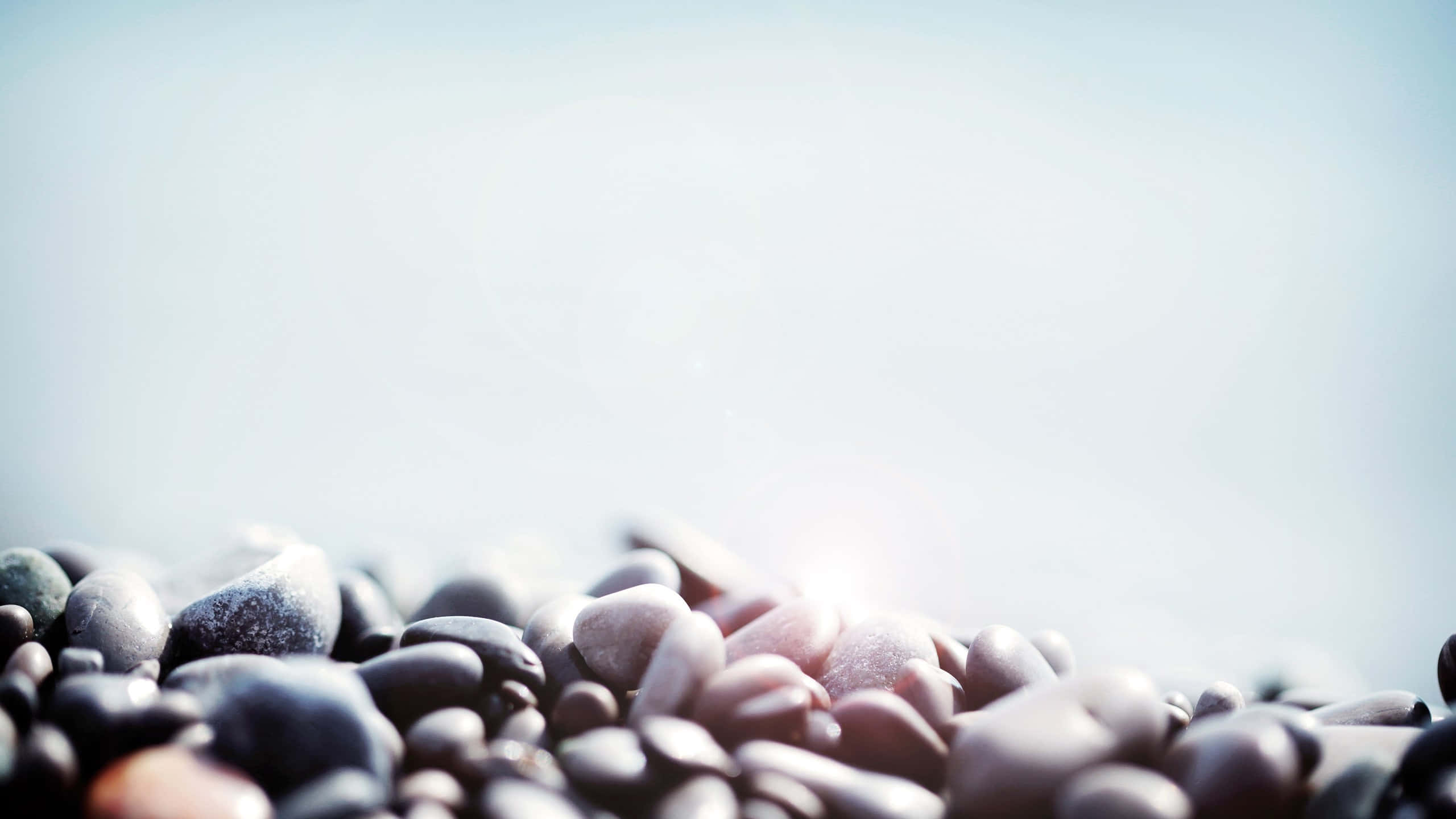 serene lake, forest, smooth rounded pebbles, 2K Desktop Wallpaper