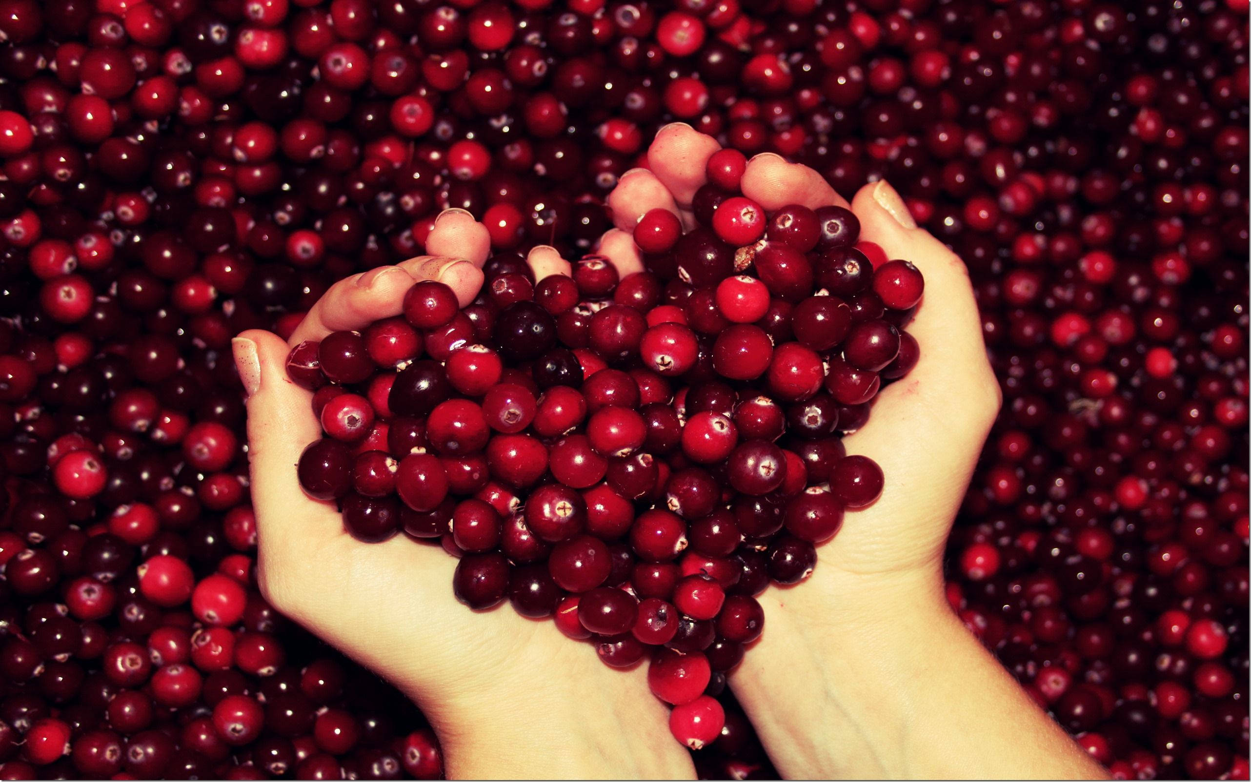 cranberries, heart-shaped pile, glossy red, 2K Desktop Wallpaper