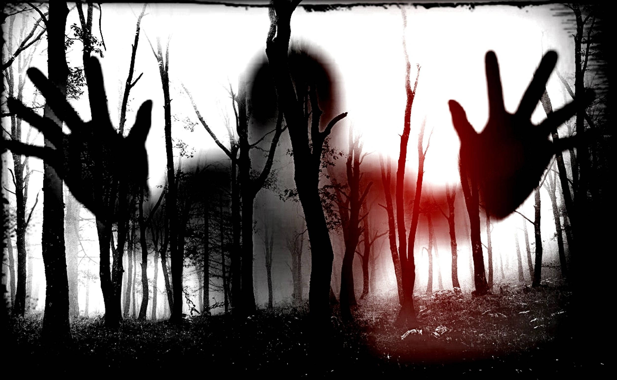 Wendigo, Black White, foggy forest window, Full HD Desktop Wallpaper