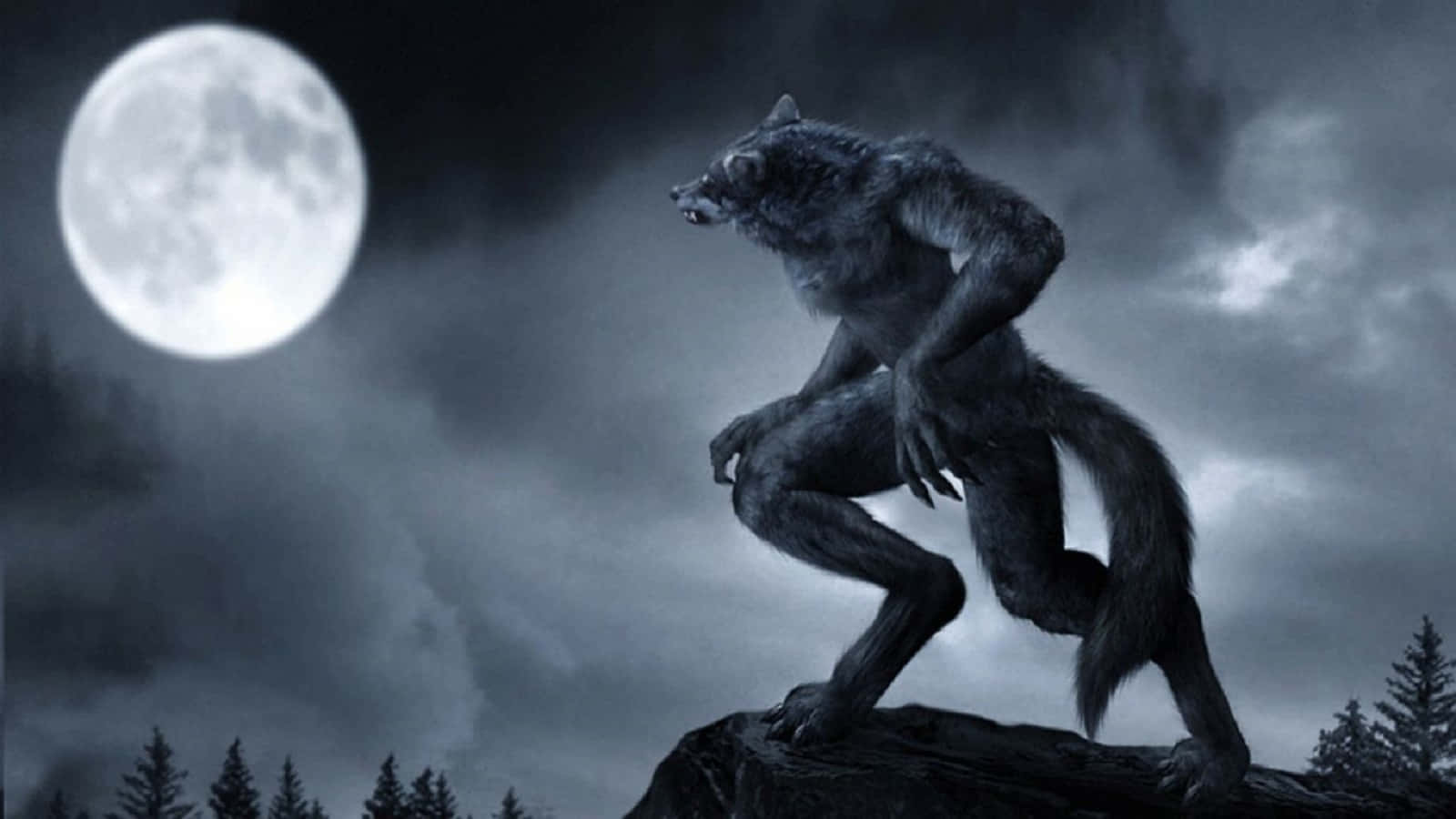 werewolf, full moon, dark storm clouds, HD Desktop Wallpaper