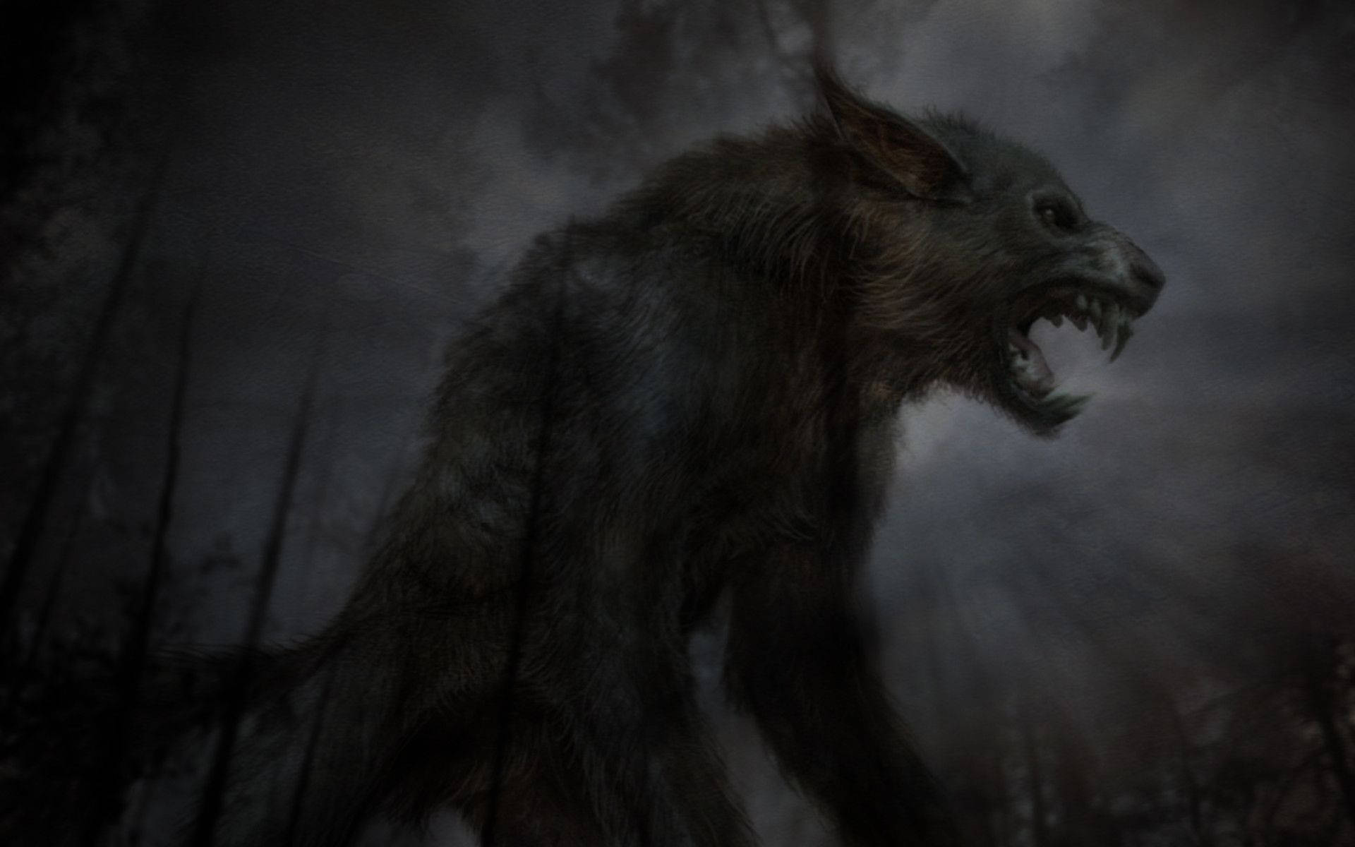 werewolf, dark stormy forest, gnarled trees, Full HD Desktop Wallpaper
