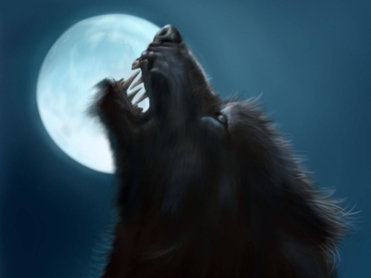 Werewolf, full moon, deep blue night sky, SD Desktop Wallpaper
