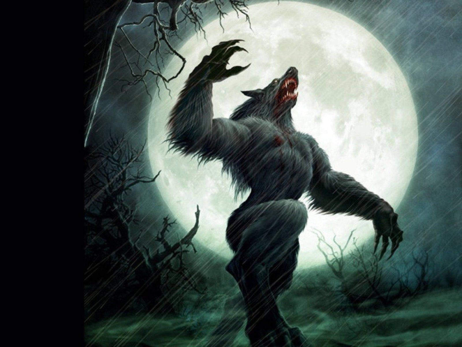 werewolf, full moon, stormy forest, HD Desktop Wallpaper