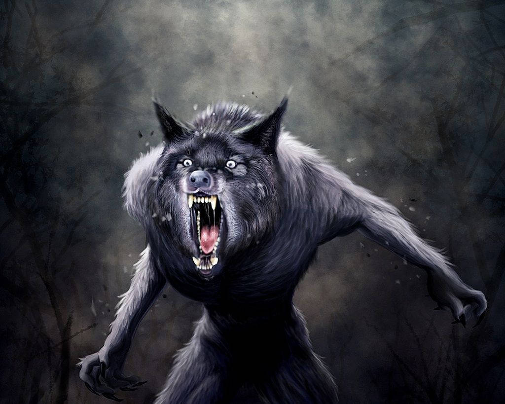 scary werewolf, forest, black werewolf, SD Desktop Wallpaper