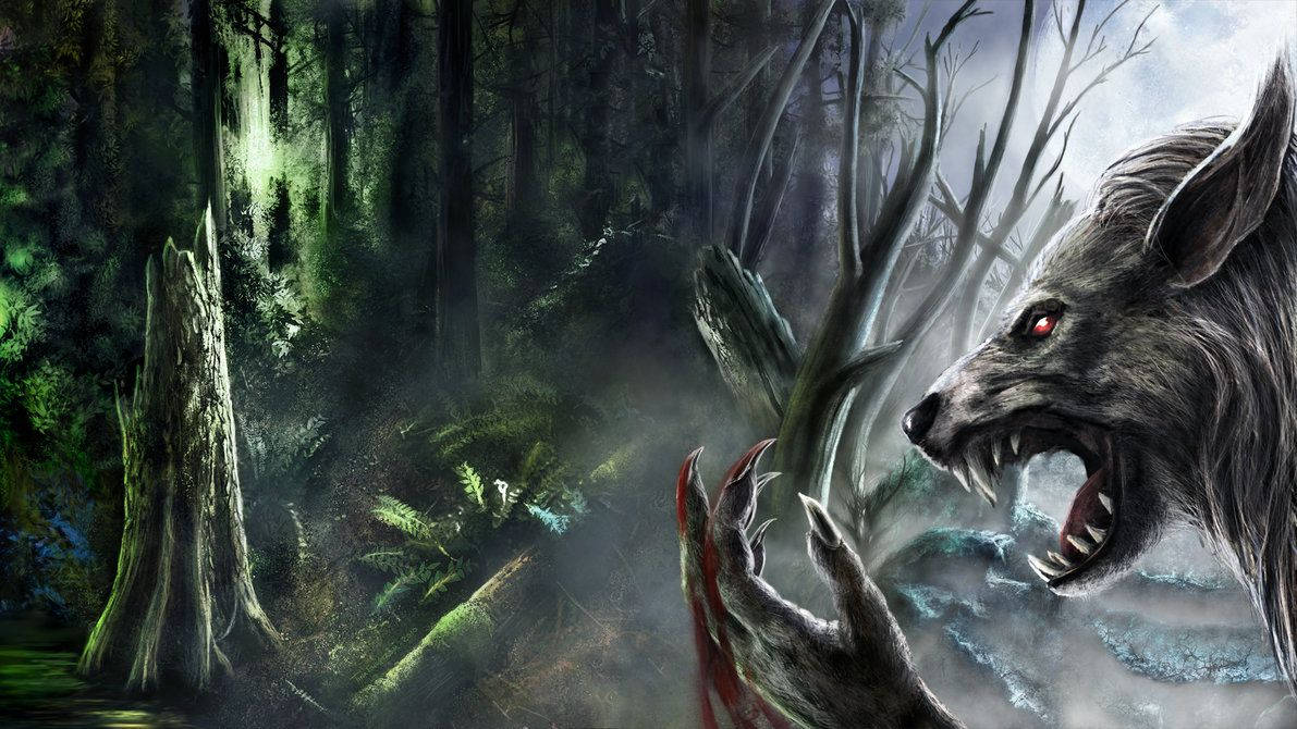 werewolf, moonlight, dark forest, SD Desktop Wallpaper