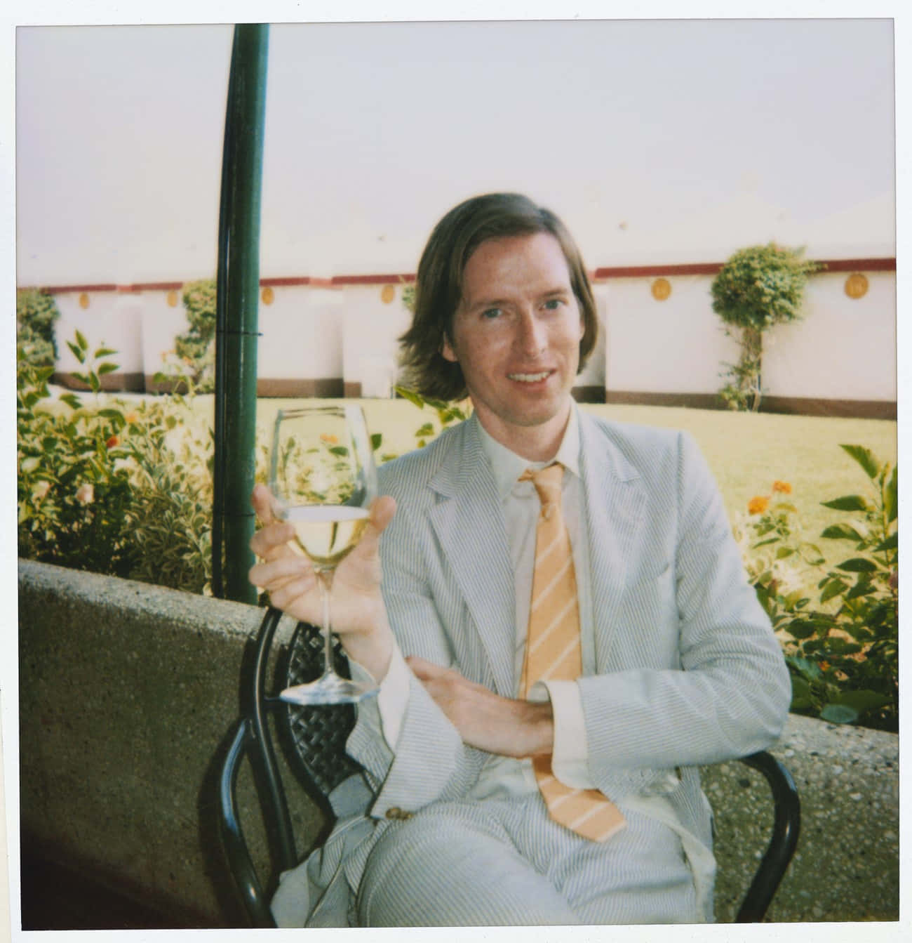 Wes Anderson, light pinstripe suit, white wine, HD Phone Wallpaper
