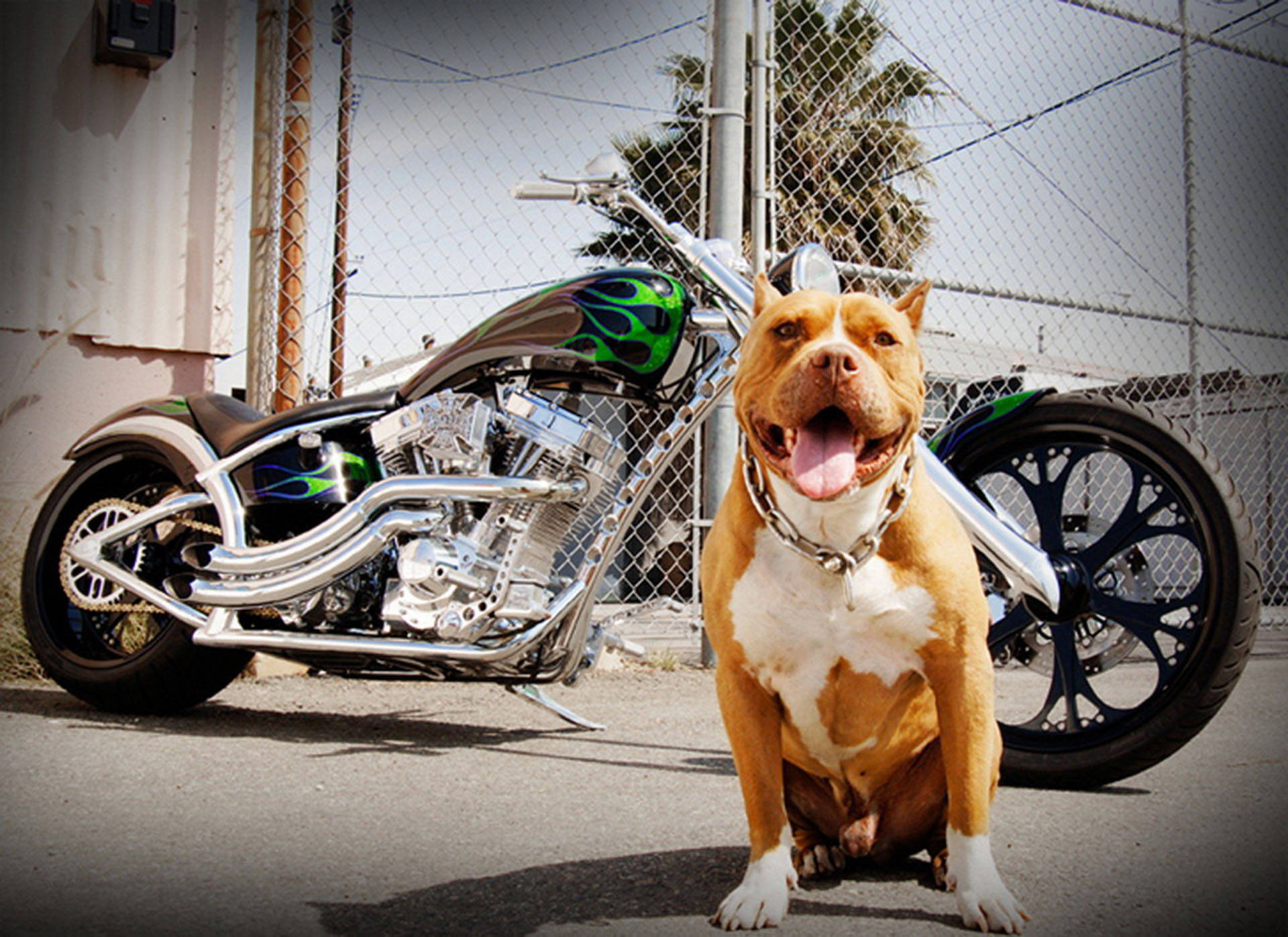 West Coast Choppers, cruiser bike, green flame paint, Full HD Desktop Wallpaper