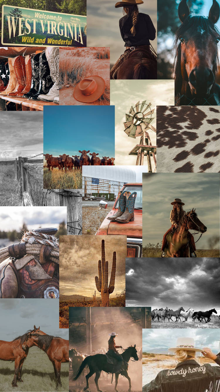 Country Western Collage, cowboys, horses, HD Phone Wallpaper