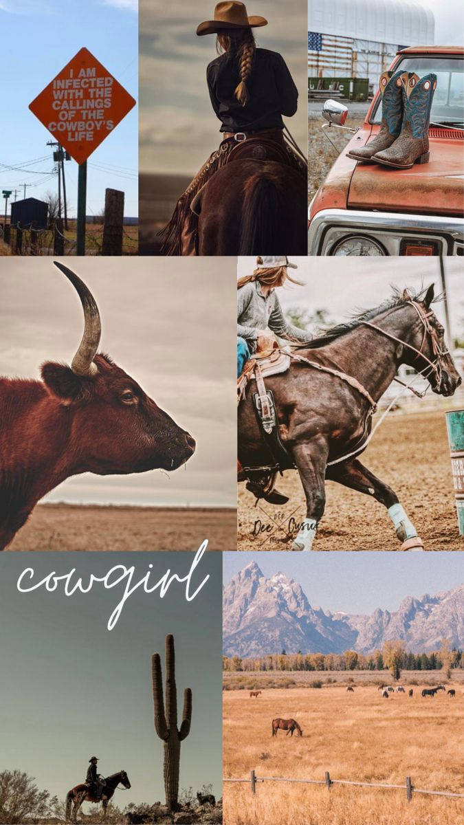cowgirl, horseback, boots on a truck, SD Phone Wallpaper