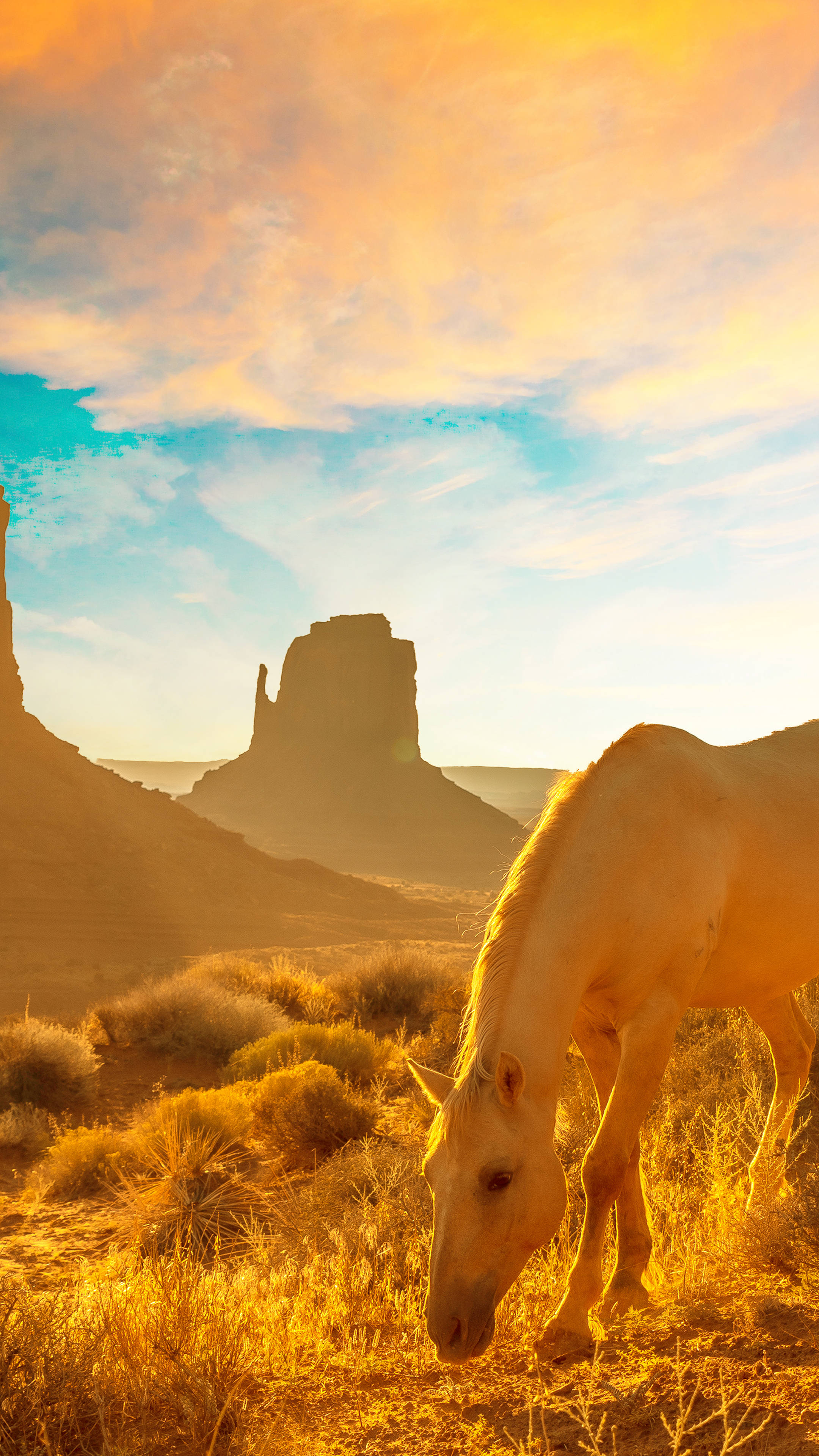 white horse, golden desert grass, vibrant sunset sky, 4K Phone Wallpaper
