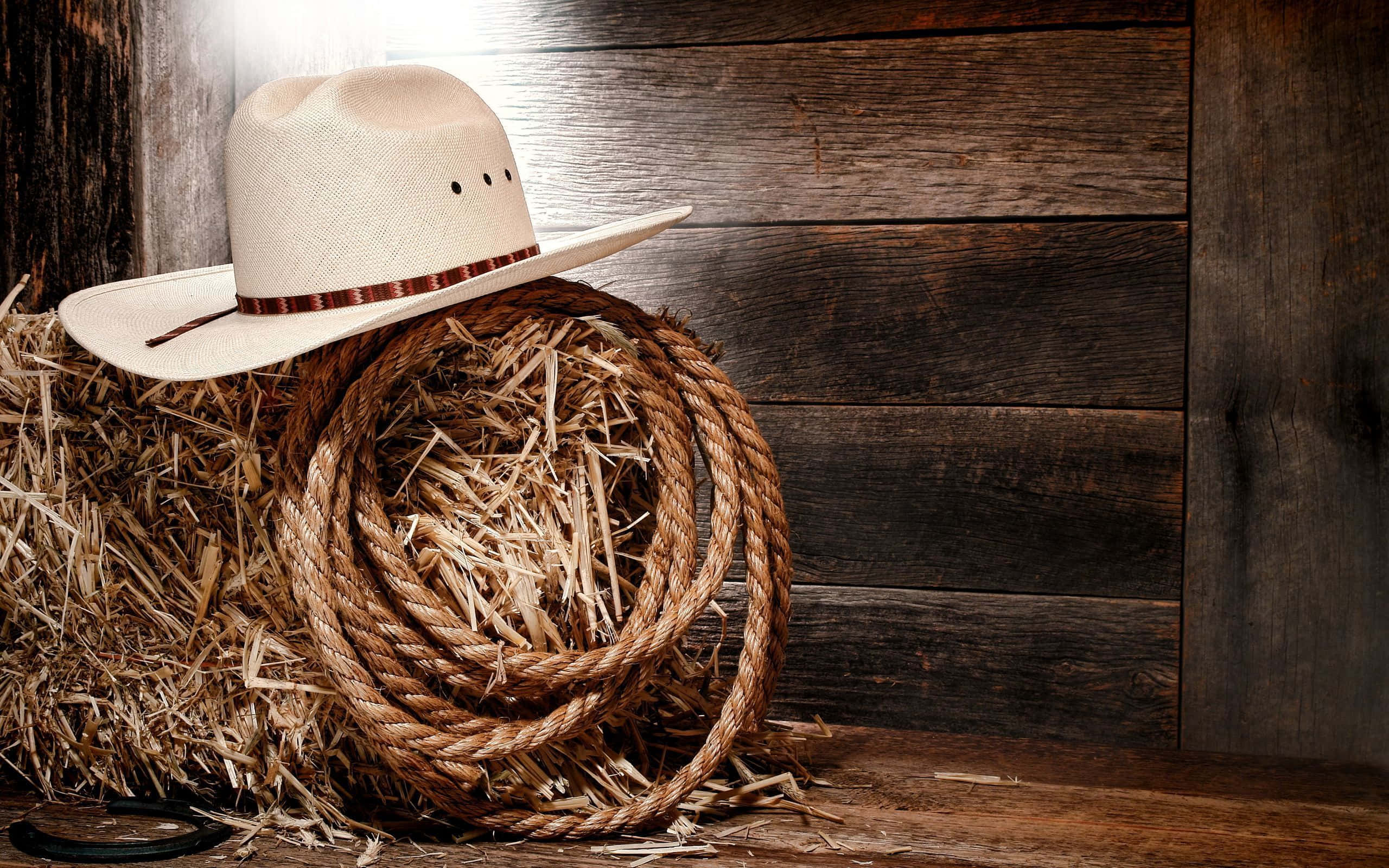 beige cowboy hat, coiled rope, hay bale, 2K Desktop Wallpaper