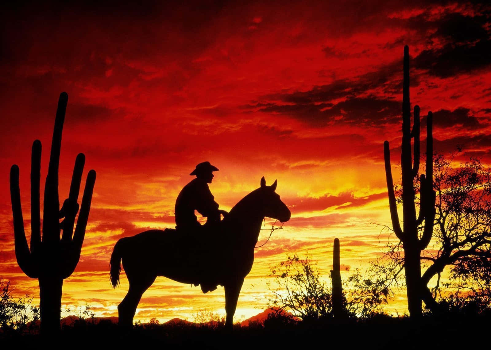 western cowboy desktop, fiery red sky, desert sunset, HD Desktop Wallpaper
