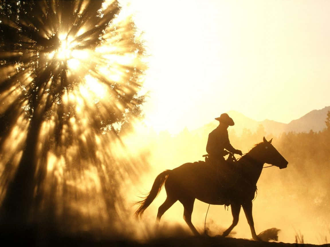Western Cowboy Desktop, golden sunburst, trees, SD Desktop Wallpaper