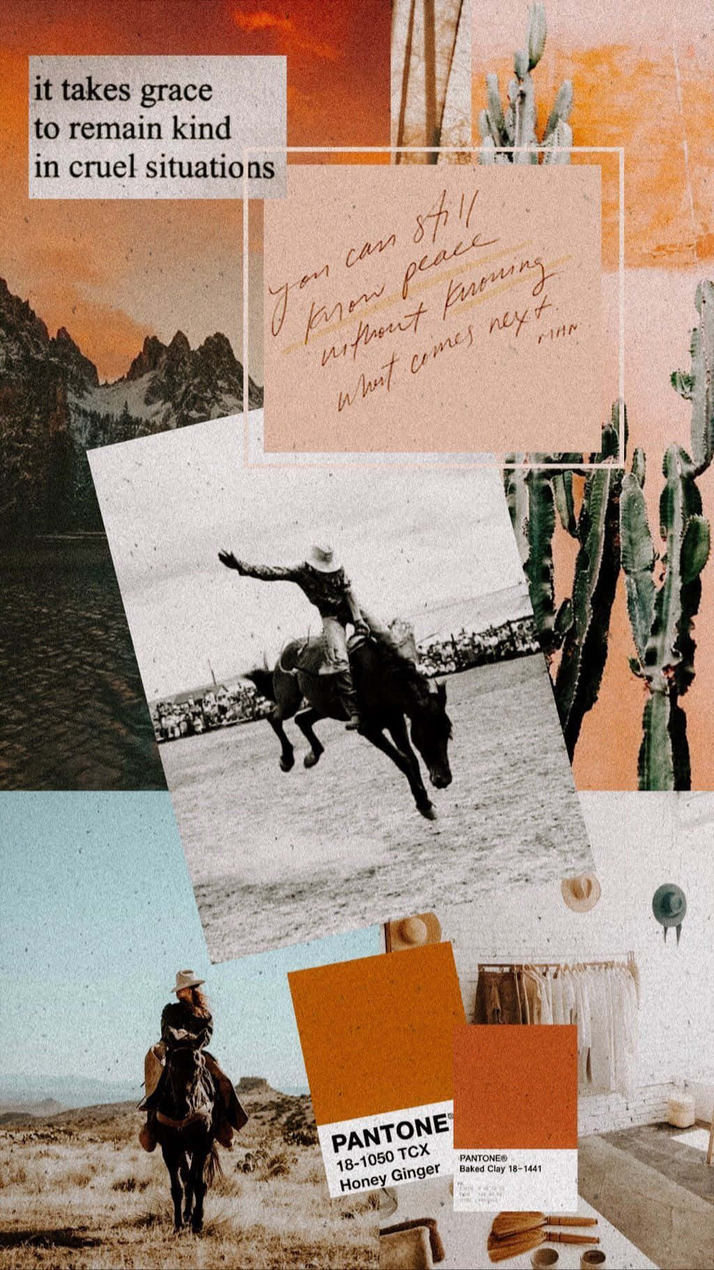 Western Cowboy iPhone, desert, rodeo, HD Phone Wallpaper