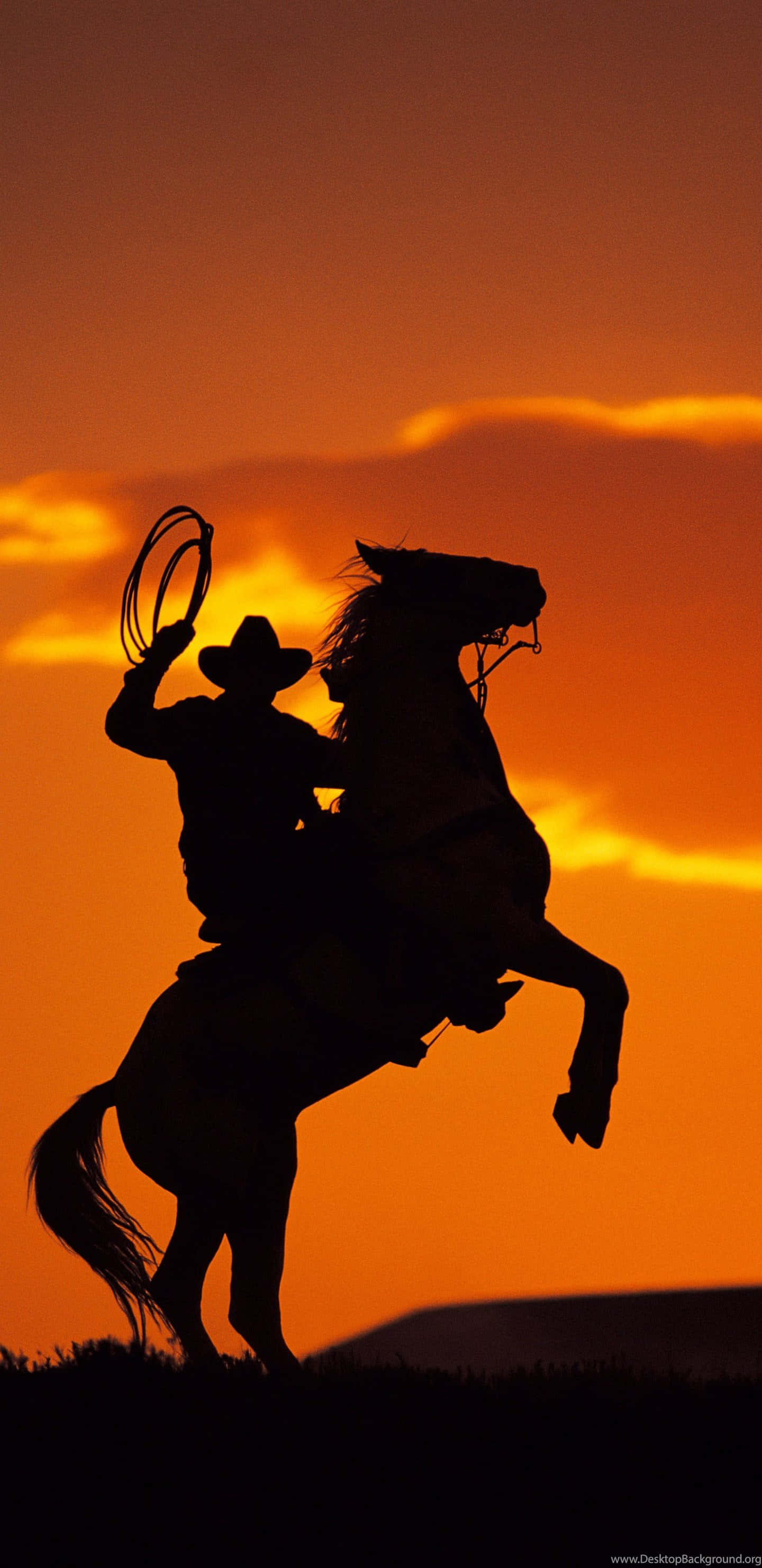 Western Cowboy iPhone, cowboy, rearing horse, 2K Phone Wallpaper