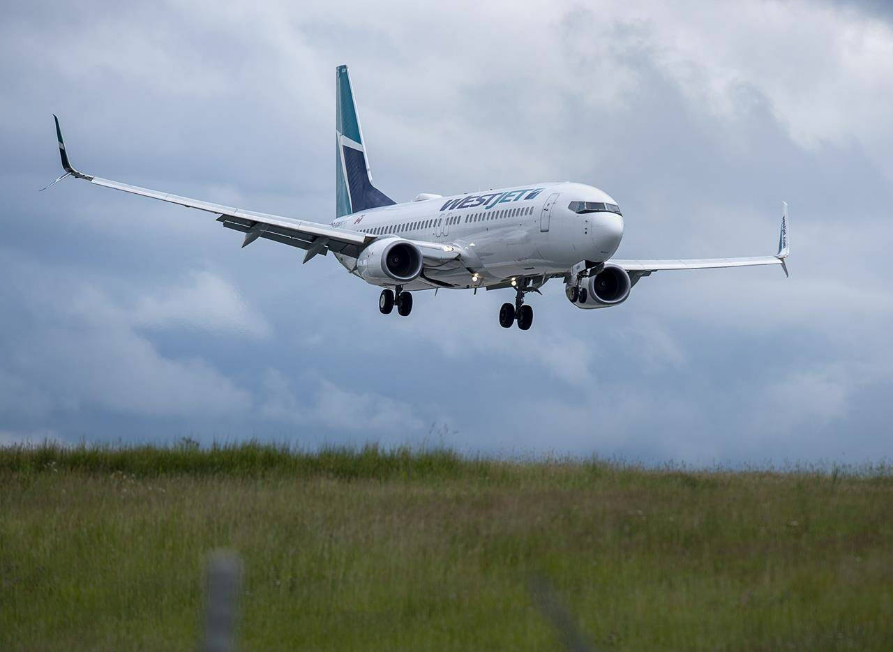 WestJet, airplane, landing gear down, HD Desktop Wallpaper