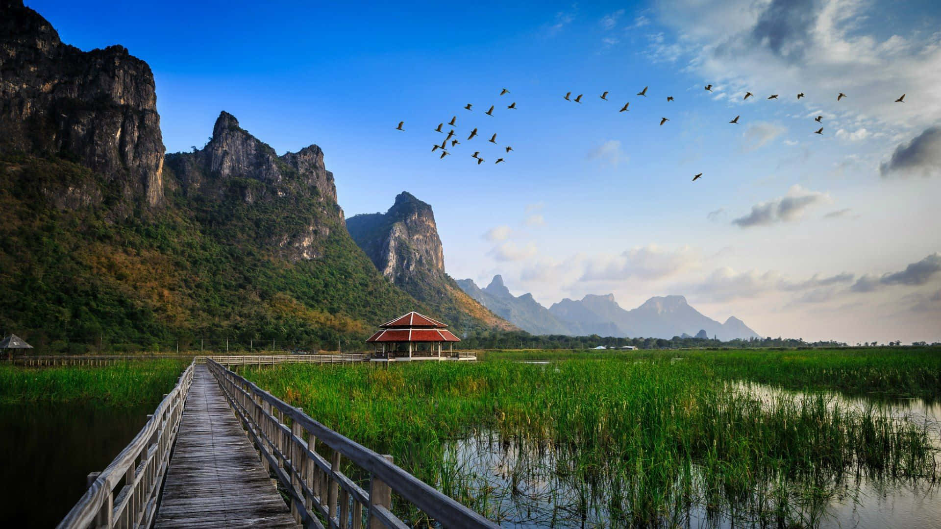 wooden boardwalk, lush green reeds, red-roofed pavilion, Full HD Desktop Wallpaper