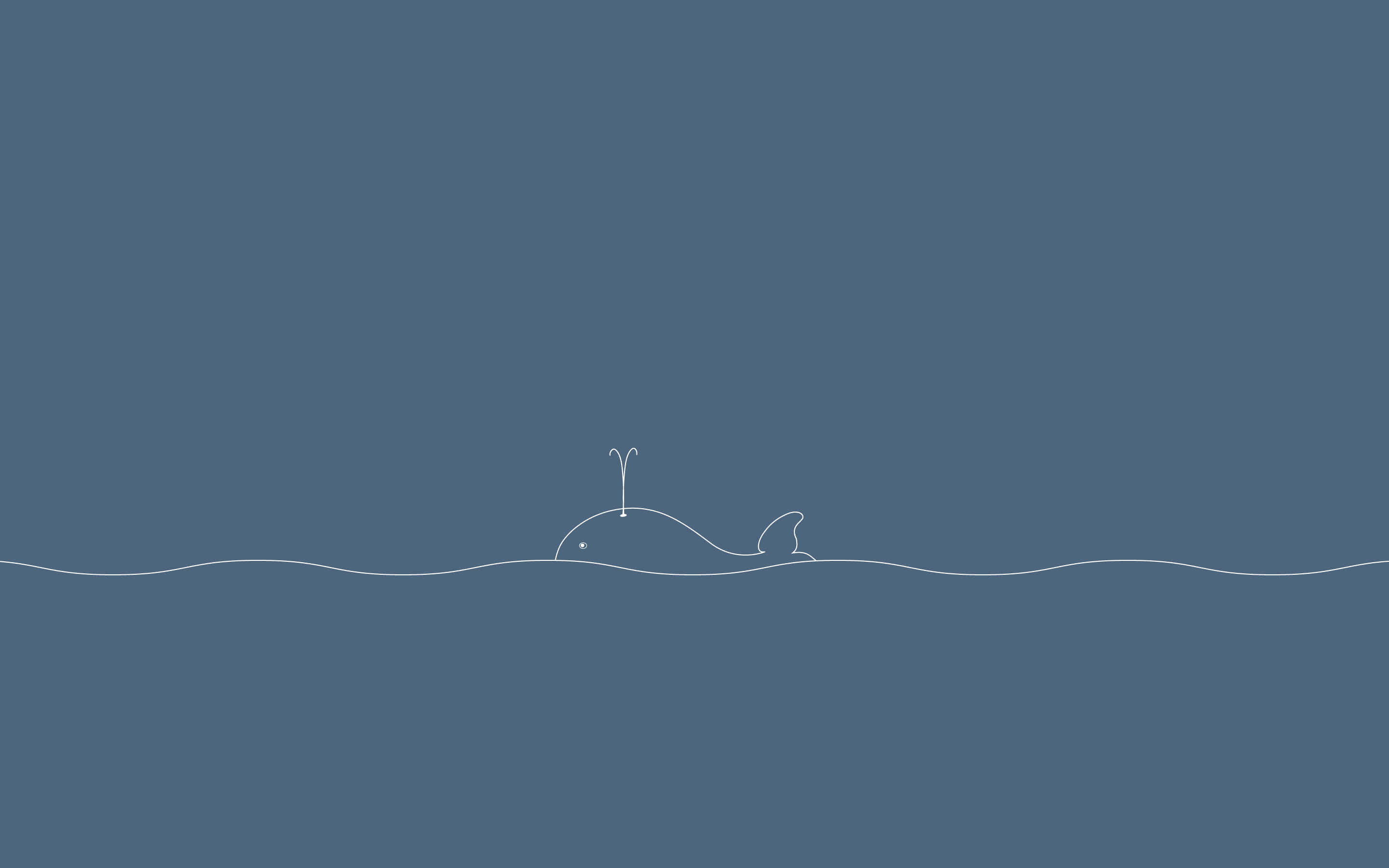 whale, line art, minimal, 2K Desktop Wallpaper