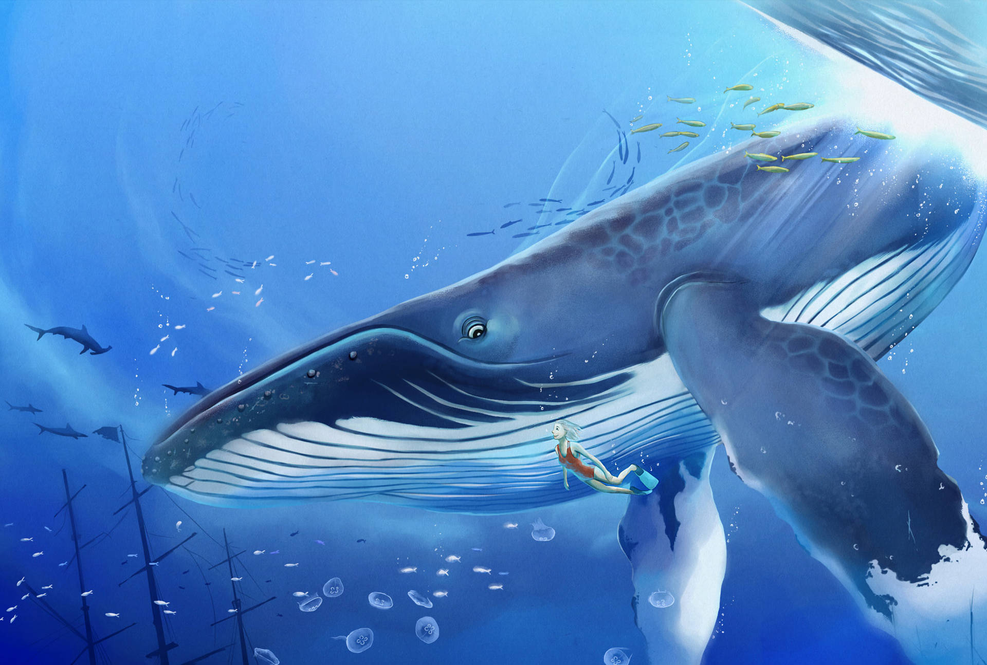blue whale, diver, sunlit ocean waters, Full HD Desktop Wallpaper