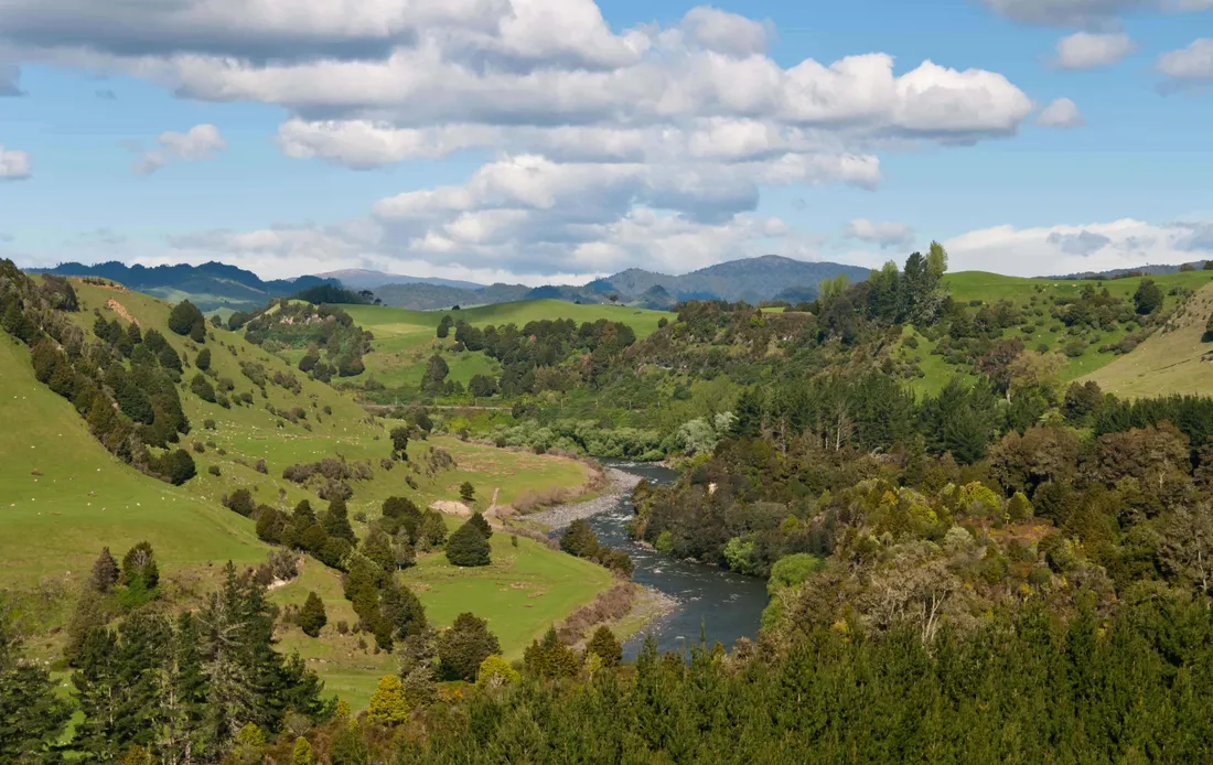 Whanganui