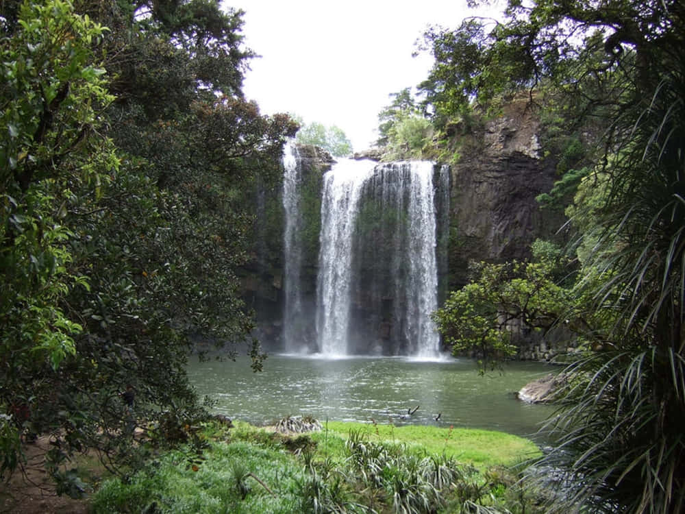 Whanganui, waterfall, lush green forest, SD Desktop Wallpaper