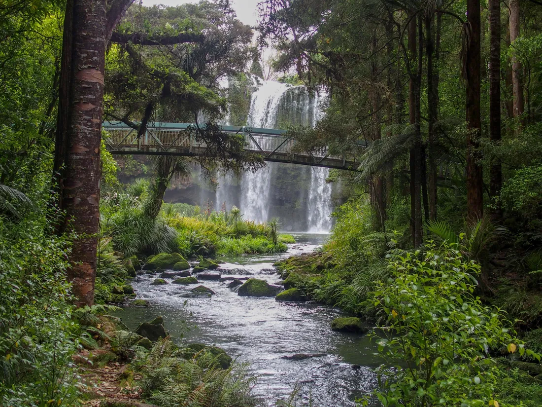 Whangarei
