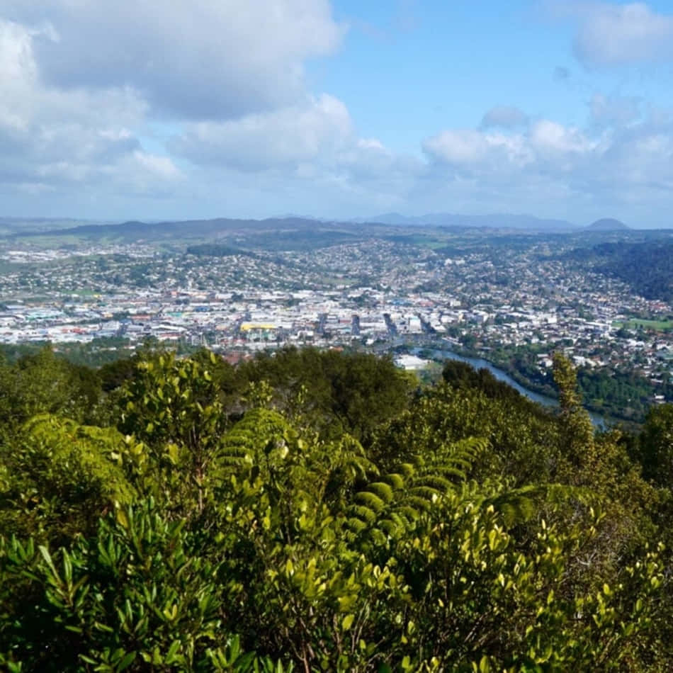 Whangarei, cityscape, view from hill, SD Desktop Wallpaper