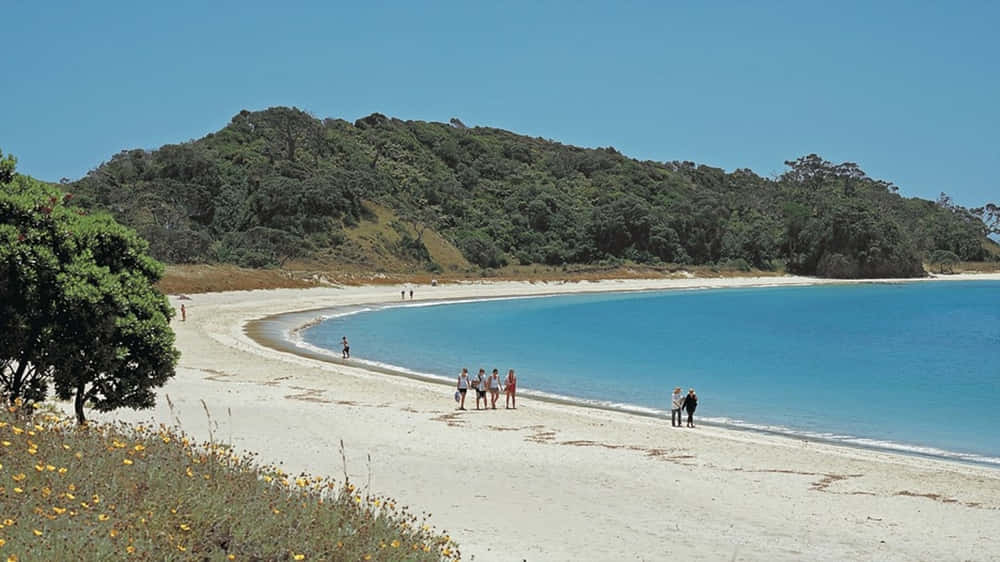 Whangarei, coastal beach scenery, turquoise waters, SD Desktop Wallpaper