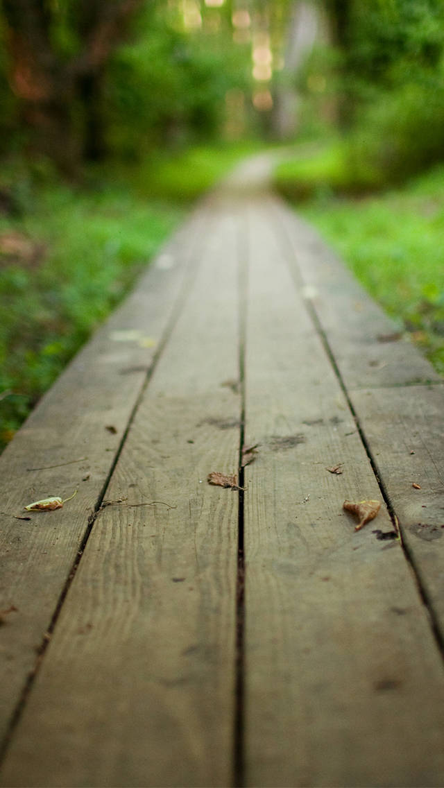 WhatsApp Chat, wooden pathway, weathered wooden boardwalk, SD Phone Wallpaper