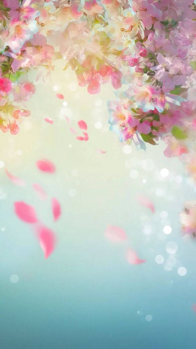 WhatsApp Chat, cherry blossoms, pastel sky, SD Phone Wallpaper