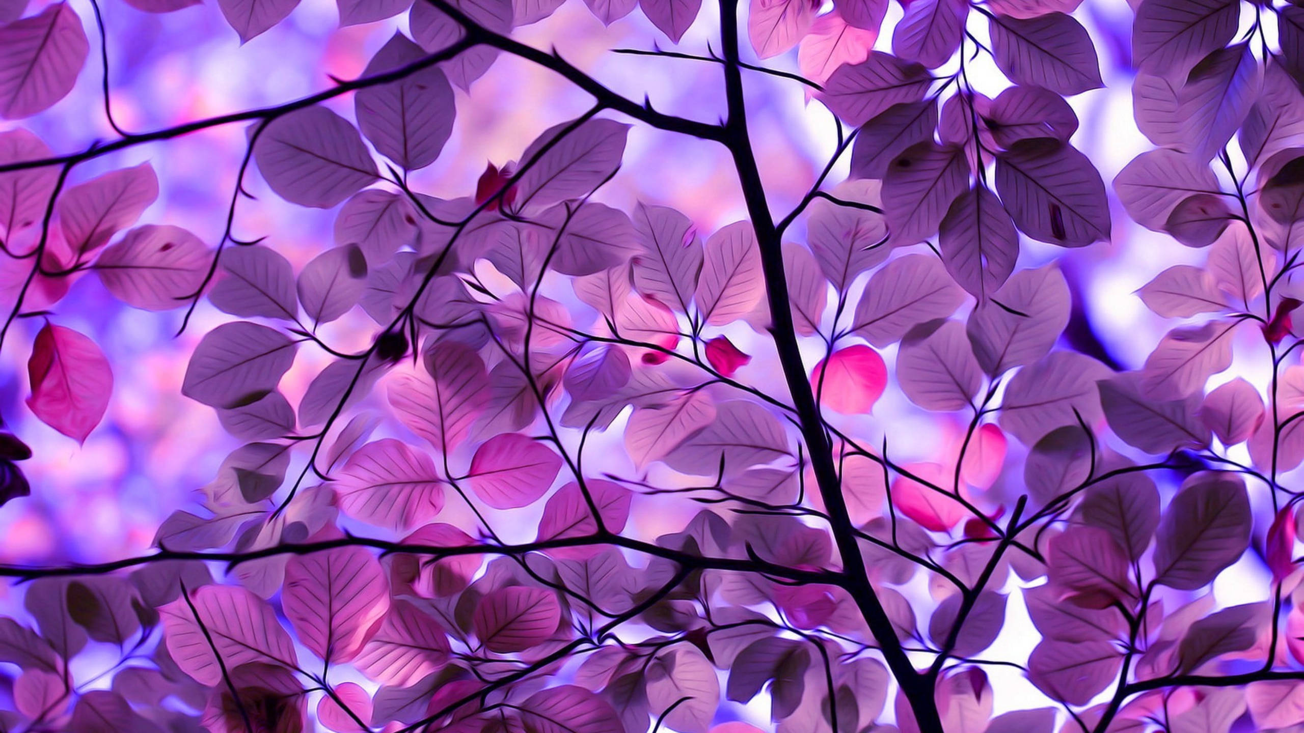 whatsapp, purple leaves, twilight sky, 2K Desktop Wallpaper